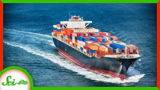 Our Boats Are Changing the Tide