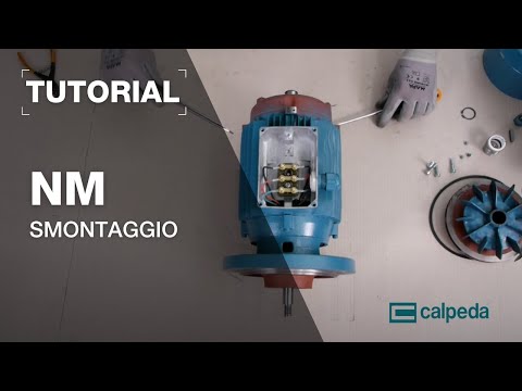 Prodotto Honda per cani articolazioni Articolazioni doloranti vitelli