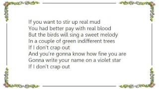 Iggy Pop - I Won't Crap Out Lyrics