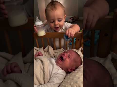 Toddler swaps his pacifier for the baby's milk bottle! 😂🍼 #BabyHeist #FunnyKids #Viral #shorts
