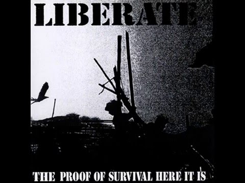 LIBERATE：till you get it/loser(1996.japanese hardcore punk)
