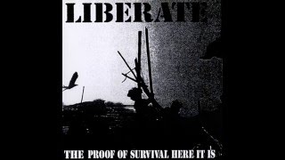 LIBERATE：till you get it/loser(1996.japanese hardcore punk)