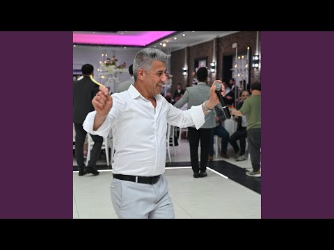 Avdis Besir - Segavi Live 2025 (Live)