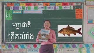 ចម្រៀង៖ និមិត្តរូបជាតិខ្មែរ