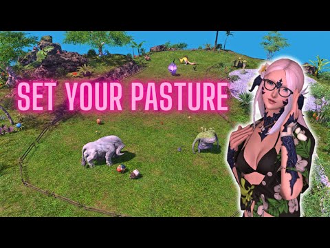 Island Sanctuary Pasture Guide FFXIV