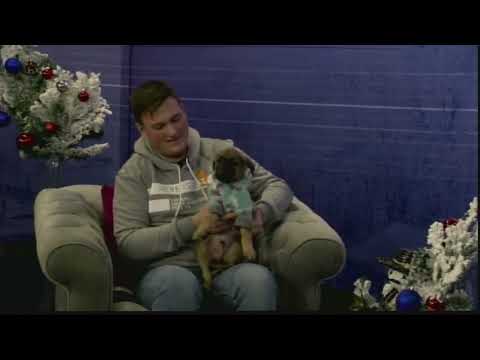 Dunavsko popodne 08.12 - gost Nikola Stojković