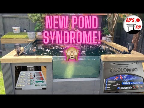 New pond syndrome has arrived! 🙈 tips on how to beat it  👍💪