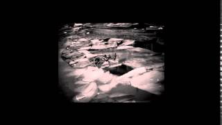 Trembling Blue Stars - Kidney Bingos