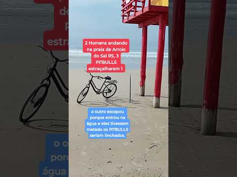 3 Pitbulls,  mataram homem, o outro se atirou na água ,  praia  Arroio do Sal RS