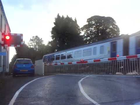 The Class 156 'Super Sprinter' Northern Trains was passed through at Milton Level Crossing. (V4)