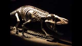 めたりすか　Iron Maiden-BIG D AND THE KIDS TABLE-