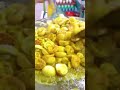 Ultimate 40 Eggs Boiled Fry Making Rs 30 Only Bharuch Gujarat Short Video Viral