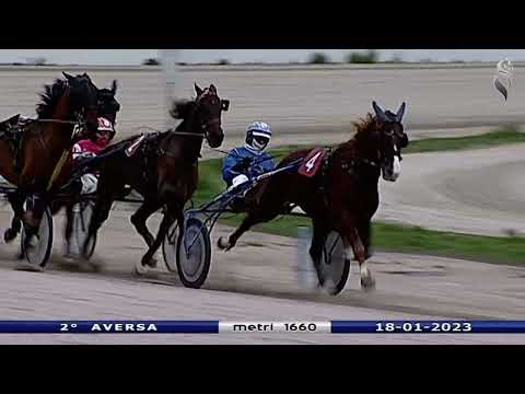 Aversa trotto 18 Gennaio 2023 - 2° Corsa