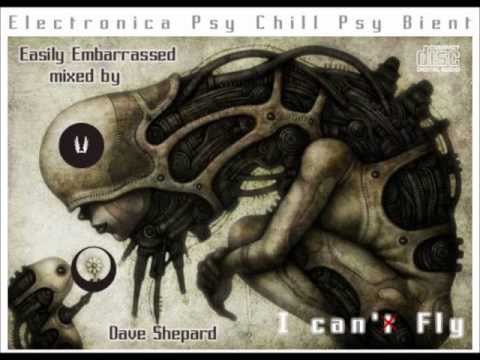 I CAN FLY(Easily Embarrassed) PsyChill