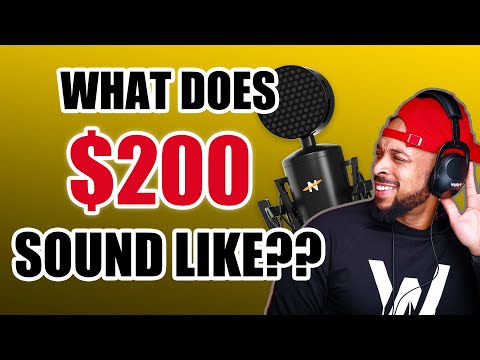 Best New Vocal Mic Under $200? King Bee II Mic Review