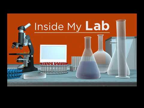 How Cancer Begins: Exploring the Genetics Behind Tumor Growth | Inside My Lab at MSK: Dr. Scott Lowe