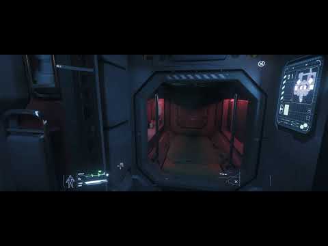 Star Citizen 3.7.0  Personal Inventory bug