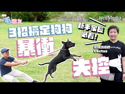 養狗新手家長必看！狗狗散步暴衝、叫不來 訓練師3招搞定！【我的毛朋友】