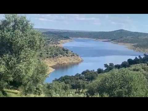 UTREROS. TOROS DE TRES AÑOS A 2020 DE VICTORINO