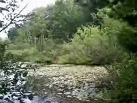 Carl T. Johnson Nature Trail (Cadillac, Michigan)