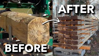 Turning FREE Logs Into Lumber for Our Storage Shed Build | Abandoned Shed to Tiny House