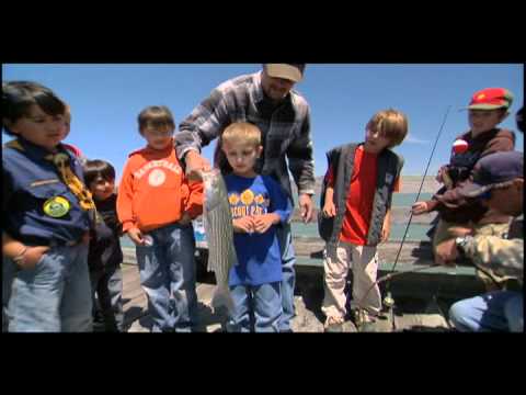 50 Years of Saving the Bay