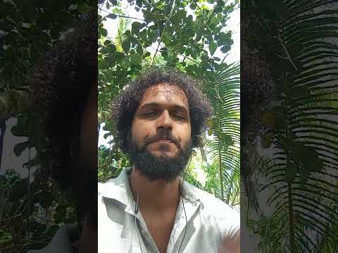 Taurus Ascendant in the Birth Chart (D1)