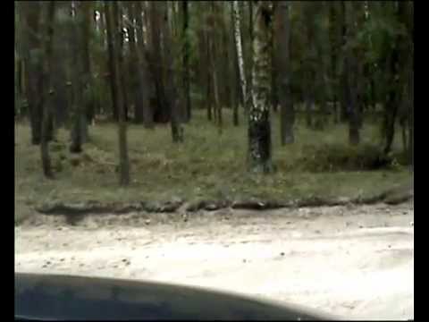 Tiguan TDI 2.0 - 170 PS