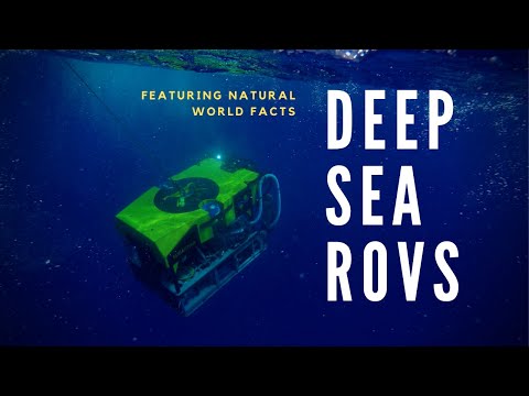 Robots in the Deep