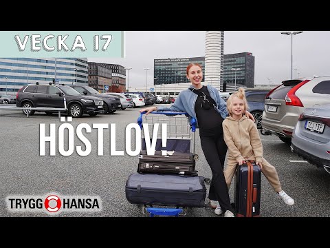 GRAVIDTRÖTT – Molly Rosenström v17