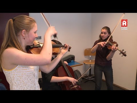 Viride Kwartet in finale Prinses Christina Concours