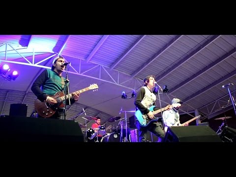 Los Chotgun & los gallos