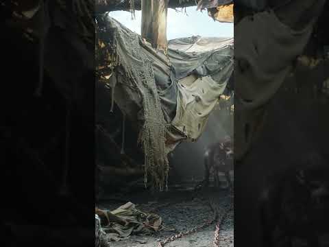 The Rings of Power | Orcs Release the Warg on Elves | Episode 3 Adar