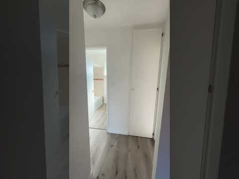 Young St Apartments - Video 2 of 2