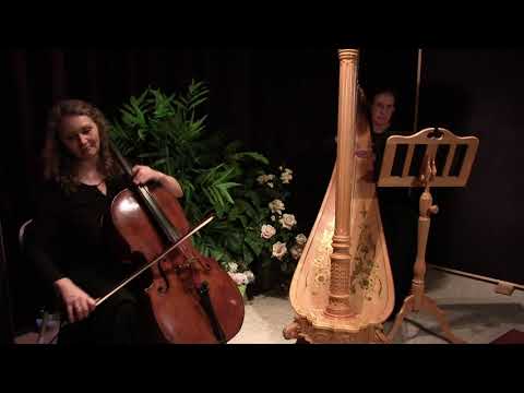 Cello and Harp Duo - Canon in D