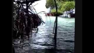 preview picture of video 'VISTA DE CAYO ENRIQUE EN LA PARGUERA, GUANICA'