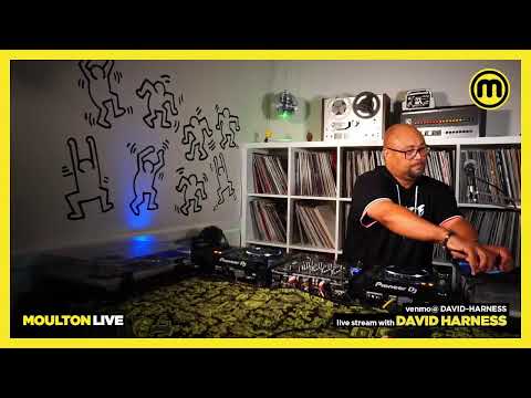 David Harness Moulton Live