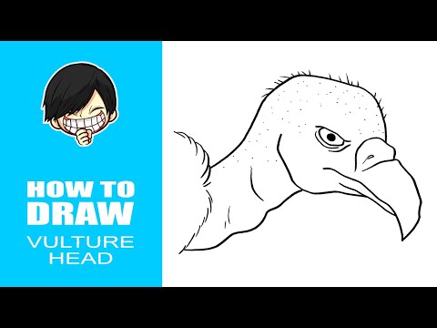 How to draw Vulture Head