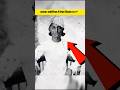 Real Appearance Of Akbar Facts Akbar Mughal Shorts