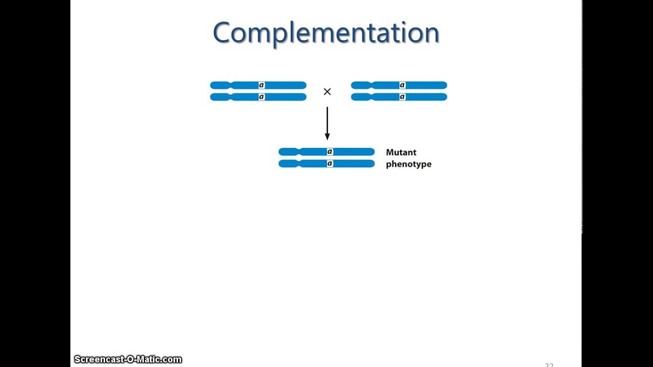 Spring 2015 Lecture 5 - Complementation