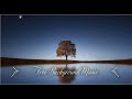 1 Hour Upbeat Background Music Best MBB Music Collection Free Download No Copyright