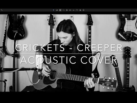 Crickets - Creeper