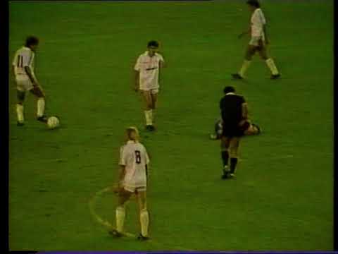 Real Madrid 4 0 Zaragoza - Liga 1988-89