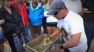 Смотреть онлайн Фокус про воду на экваторе