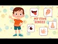 My Five Senses/ Nursery Rhime