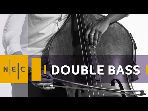 Double Bass Studies at NEC