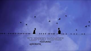 2nd Team &quot;Clipped Wings&quot; feat. Akrobatik, Sarah Violette &amp; Kristina Kentigian