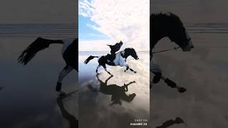 Galloping hands free down a beach 🪽 #horse #horses #galloping #gallopingonthebeach