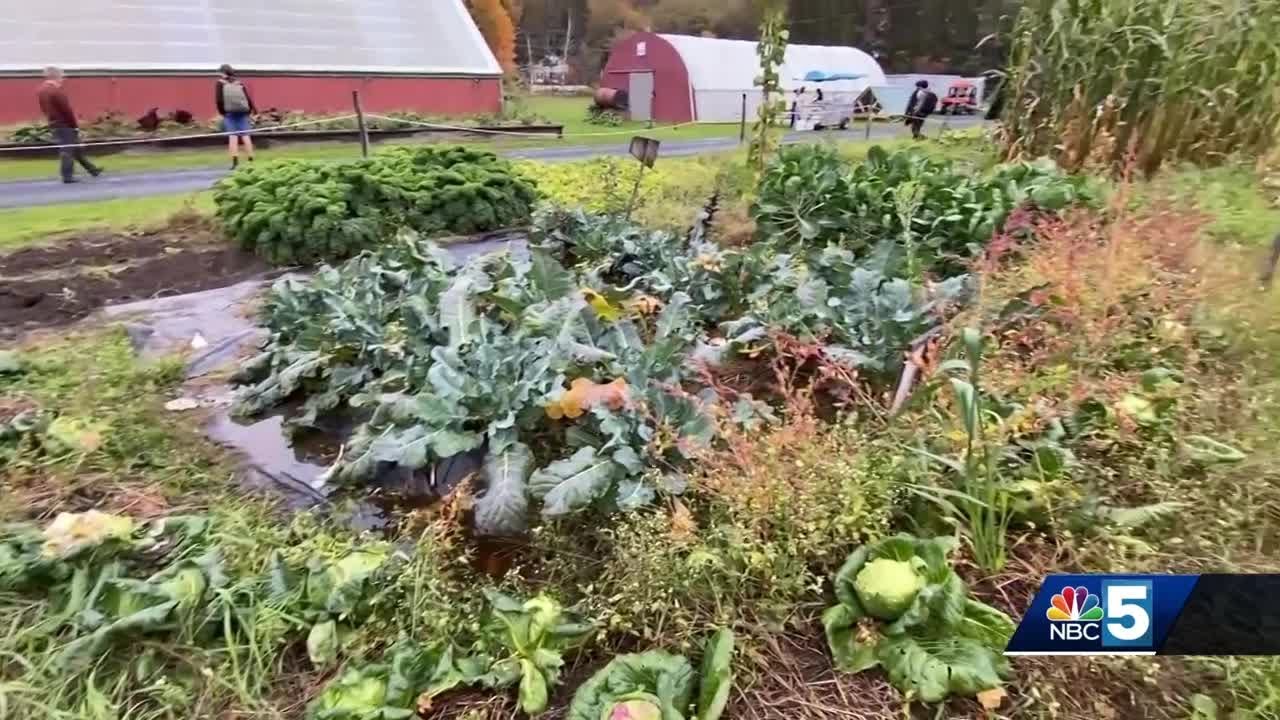 Farmers feeling the effect of USDA freeze