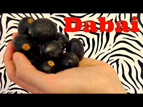 Dabai Review (Canarium odontophyllum) Weird Fruit Explorer Ep. 135